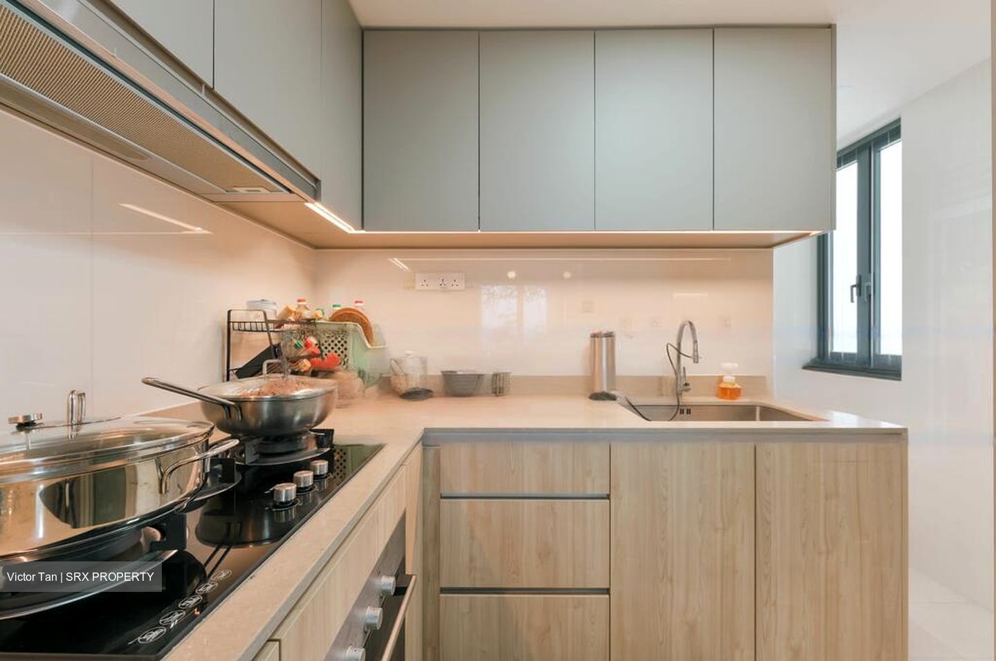 Twin Vew (D5), Apartment #455046501